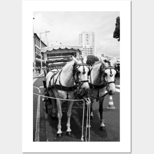 Two horses in the city Posters and Art